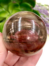 Petrified Wood Sphere 53mm TK - Third Eye & Root Chakra Stone