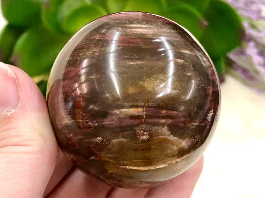 Petrified Wood Sphere 53mm TK - Third Eye & Root Chakra Stone