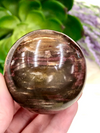 Petrified Wood Sphere 53mm TK - Third Eye & Root Chakra Stone