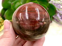 Petrified Wood Sphere 53mm TK - Third Eye & Root Chakra Stone