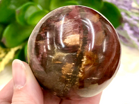 Petrified Wood Sphere 53mm TK - Third Eye & Root Chakra Stone