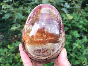 Petrified Wood Egg 101mm ADT
