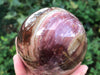 Petrified Wood Egg 101mm