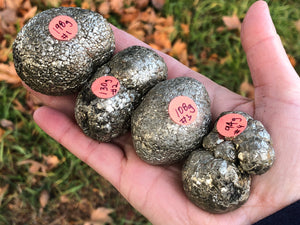 Pyrite Fools Gold Nuggets