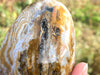 Ocean Jasper Egg 77mm YB