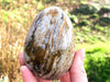 Ocean Jasper Egg 77mm YB