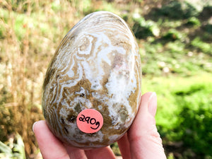 Ocean Jasper Egg 77mm YB