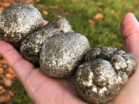 Pyrite Fools Gold Nuggets