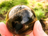 Tiger Eye Sphere 48mm - Golden Tiger Eye