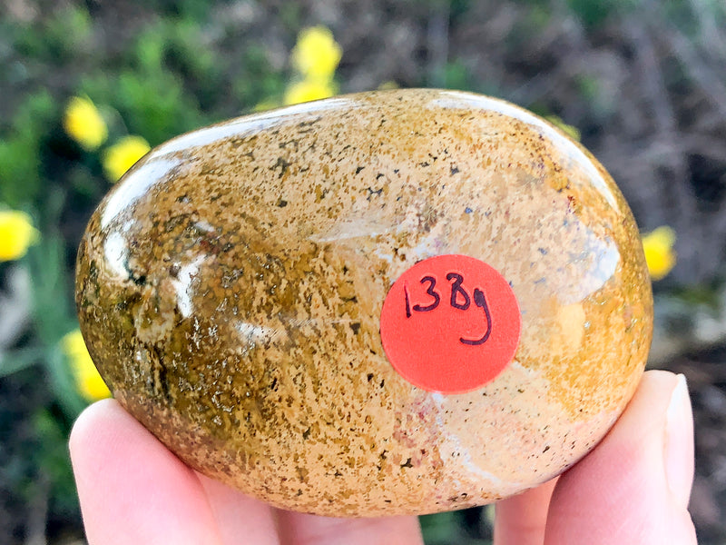 Ocean Jasper Palmstone 61mm