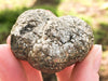 Pyrite Nugget 45mm - Fools Gold - Pyrite Palmstone - Solar Plexus Chakra