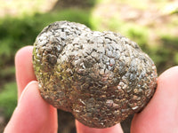 Pyrite Nugget 45mm - Fools Gold - Pyrite Palmstone - Solar Plexus Chakra