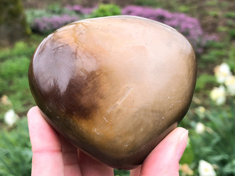 Polychrome Jasper Palm Stone 71mm