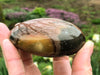 Polychrome Jasper Gallet 73mm ADE