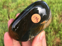 Polychrome Jasper Palm Stone 72mm