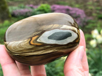 Polychrome Jasper Palm Stone 71mm