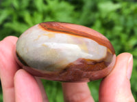 Polychrome Jasper 62mm - Royal Savannah Jasper