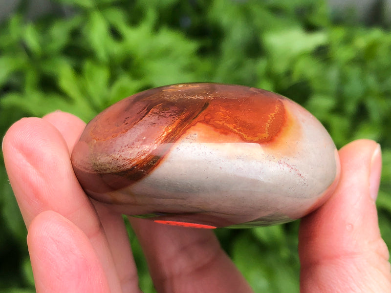 Polychrome Jasper 62mm - Royal Savannah Jasper