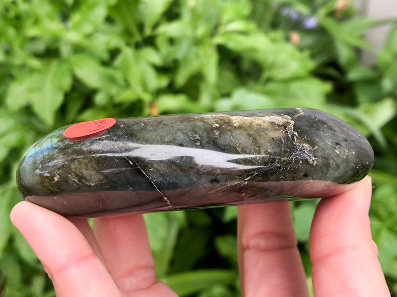 XXL Large Labradorite Palm Stone 94mm