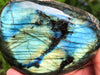 XXL Labradorite Palm Stone 92mm