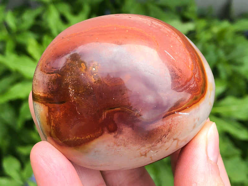 Polychrome Jasper 62mm - Royal Savannah Jasper