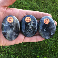 XL Iolite Palm Stone