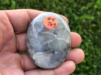 XL Iolite Palm Stone