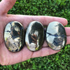 Pyrite Palm Stone - Polished Fools Gold