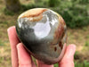 Polychrome Jasper 77mm - Desert Jasper Stone