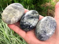 XL Iolite Palm Stone - Iolite Gallet