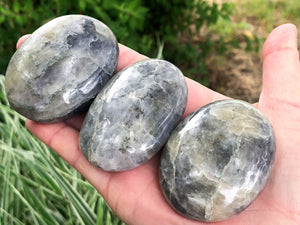 XL Iolite Palm Stone - Iolite Gallet