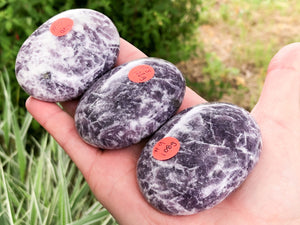 Lepidolite Palm Stone - Choose your own