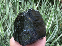 Raw Black Tourmaline Self Standing Crystal 134mm