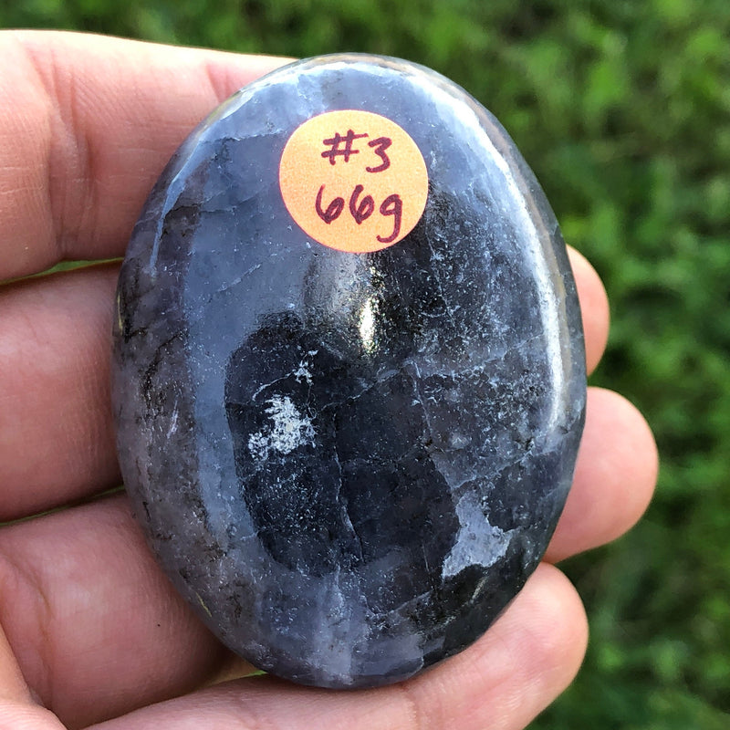 XL Iolite Palm Stone