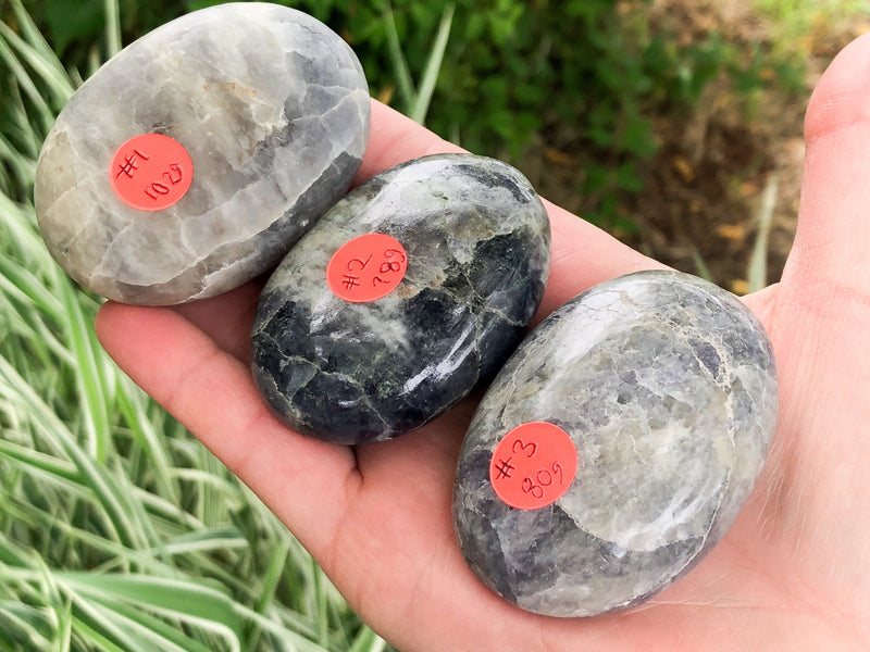 XL Iolite Palm Stone - Iolite Gallet