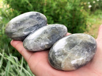 XL Iolite Palm Stone - Iolite Gallet