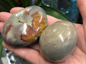 Polychrome Jasper Palm Stone - Desert Jasper Stone - Savannah Jasper - Crystal Grid - Stones and Crystals - Massage Stone - Polished Jasper