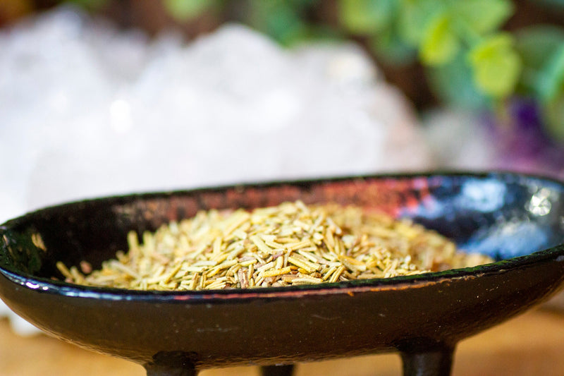 Dried Rosemary - Ritual Tools - Cleansing 