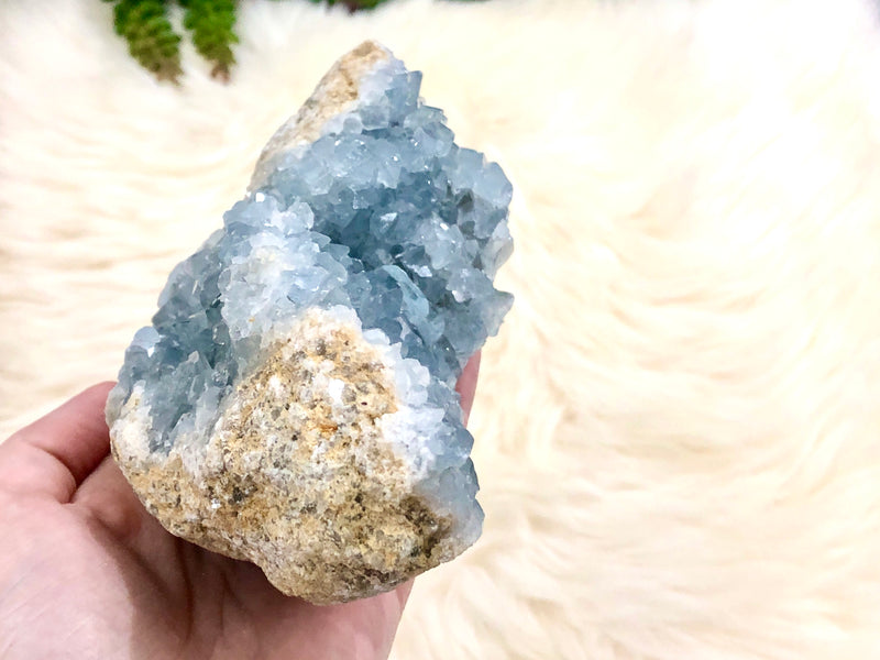 Raw Celestite Crystal Stone Geode Freeform Specimen 155mm IJ