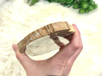 Petrified Wood Slab Slice Stone Crystal 165mm HQ