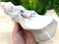 White Gray Ocean Jasper Freeform Flame 178mm FF