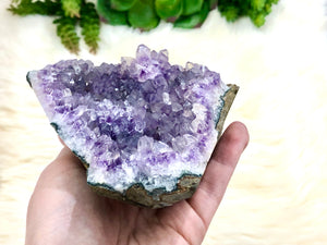 Raw Amethyst Standing Freeform Cluster 114mm IH