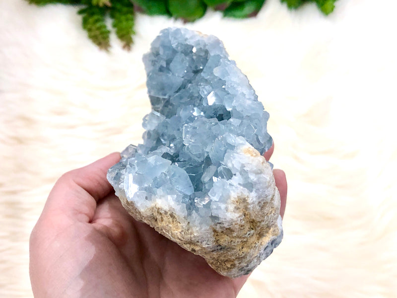 Raw Celestite Crystal Stone Geode Freeform Specimen 155mm IJ