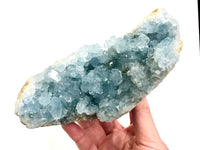 Raw Celestite Crystal Stone Geode Freeform Specimen 155mm IJ