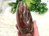 Petrified Wood Freeform 116mm HS