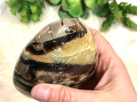 Septarian Nodule Yellow Calcite Crystal Freeform 106mm EL