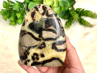 Septarian Nodule Yellow Calcite Crystal Freeform 106mm EL