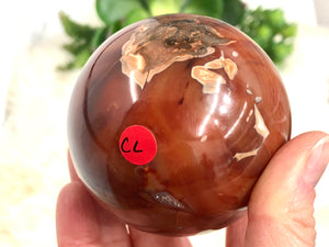 Carnelian Agate With Quartz Sphere 65mm CL