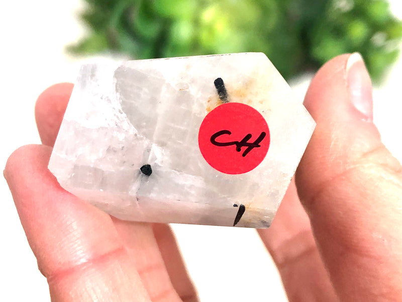 Tourmalinated Quartz Crystal Point 86mm (CH)