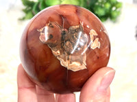 Carnelian Agate With Quartz Sphere 65mm CL